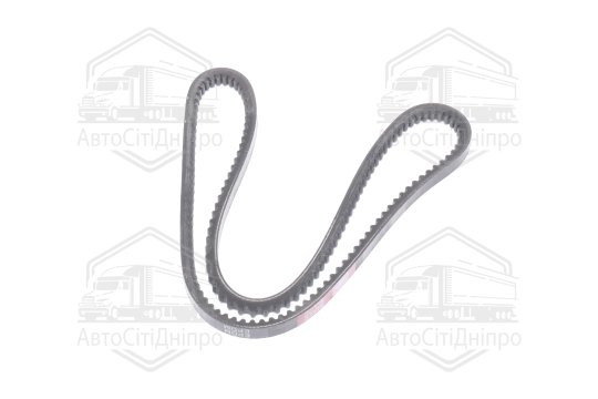 Ремінь AVX13х1030 зубч. ГАЗЕЛЬ (RIDER)