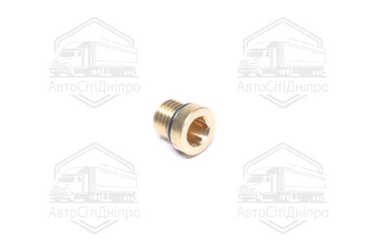 Пробка різьбова з кільцем ущільнювачем M12x1,5 (RIDER)