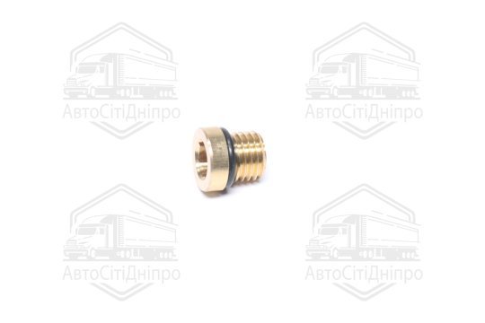 Пробка різьбова з кільцем ущільнювачем M12x1,5 (RIDER)