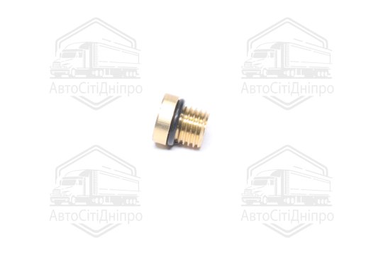 Пробка різьбова з кільцем ущільнювачем M12x1,5 (RIDER)