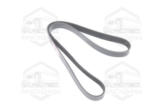Ремінь поліклін. 8PK1420 TRUCK (RIDER)