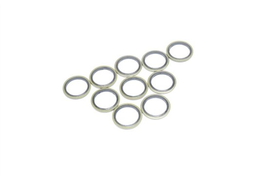 Шайба з гумовим ущільнювачем 22х30х2 (10шт.) (RIDER)