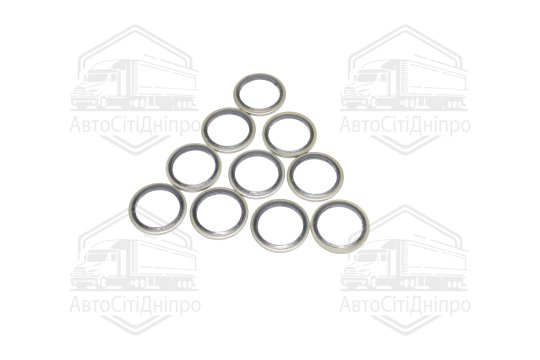 Шайба з гумовим ущільнювачем 24х32х2 (10шт.) (RIDER)