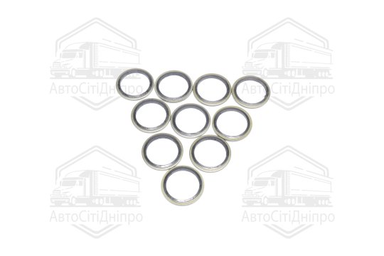 Шайба з гумовим ущільнювачем 24х32х2 (10шт.) (RIDER)