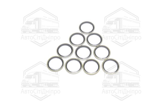 Шайба з гумовим ущільнювачем 24х32х2 (10шт.) (RIDER)