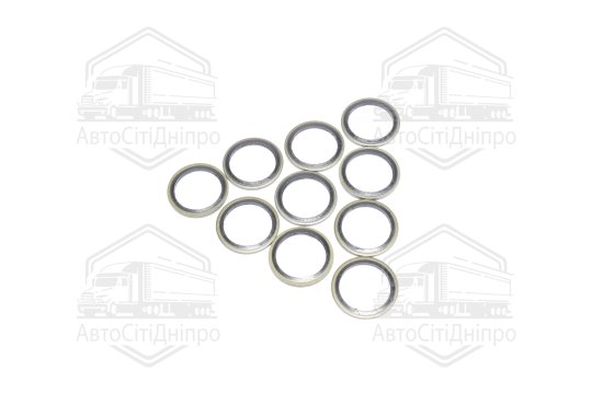 Шайба з гумовим ущільнювачем 24х32х2 (10шт.) (RIDER)