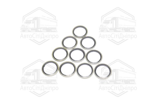 Шайба з гумовим ущільнювачем 24х32х2 (10шт.) (RIDER)