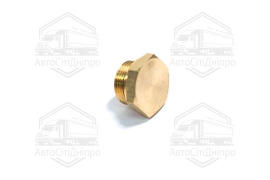 Заглушка різьбова з кільцем ущільнювачем M22x1,5 (RIDER)