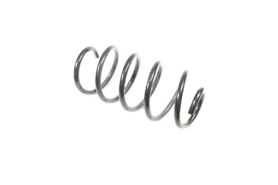 Пружина підв. VW T5 03- передн. (RIDER)