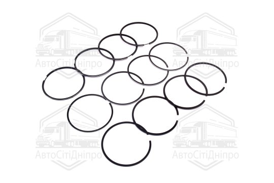Кільця поршневі 96,0 М/К дв.405,409 (RIDER)