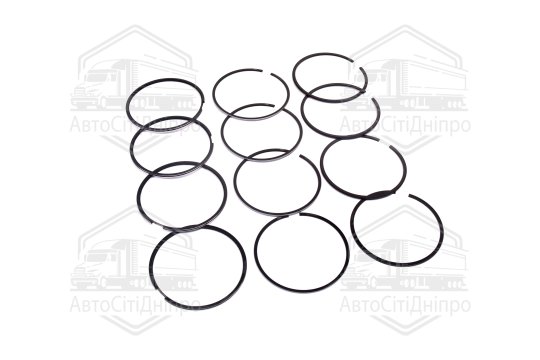 Кільця поршневі 96,0 М/К дв.405,409 (RIDER)
