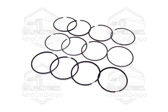 Кільця поршневі 96,0 М/К дв.405,409 (RIDER)