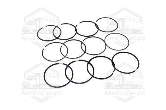 Кільця поршневі 96,0 М/К дв.405,409 (RIDER)