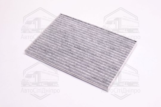 Фільтр салону NISSAN QASHQAI, X-TRAIL 07-13 вугільний (RIDER)