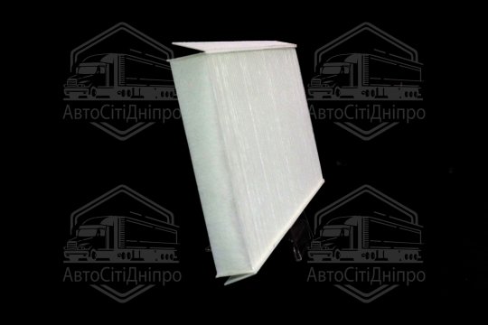 Фільтр салону FORD FOCUS 98-04, TRANSIT CONNECT 02- (RIDER)