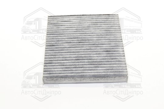 Фільтр салону NISSAN ALMERA CLASSIC 06-, X-TRAIL 02-07 вугільний (RIDER)