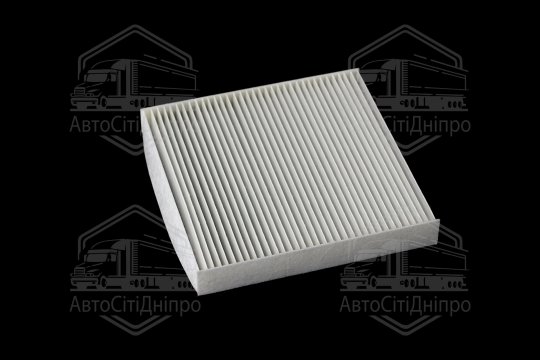 Фільтр салону RENAULT LAGUNA II 00- (RIDER)