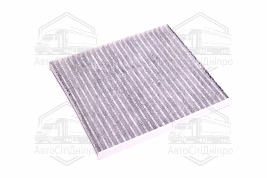 Фільтр салону HYUNDAI TUCSON 04-08, KIA SPORTAGE 04- вугільний (RIDER)