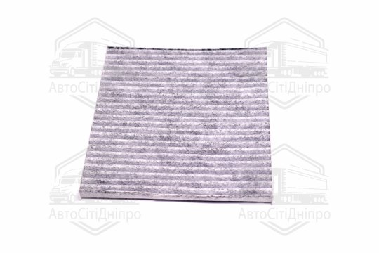 Фільтр салону HYUNDAI TUCSON 04-08, KIA SPORTAGE 04- вугільний (RIDER)