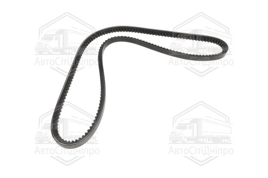 Ремінь AVX13X1225 генератора Богдан А069, Hyundai HD65, 72, 78 (RIDER)