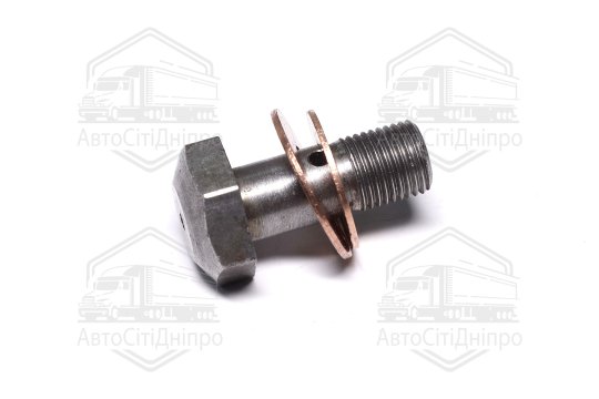 Клапан редукційний оливного розпилювача Еталон, ТАТА Е2-Е4 з ущільн. шайбами (RIDER)