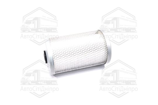 Фільтр паливний (RIDER)