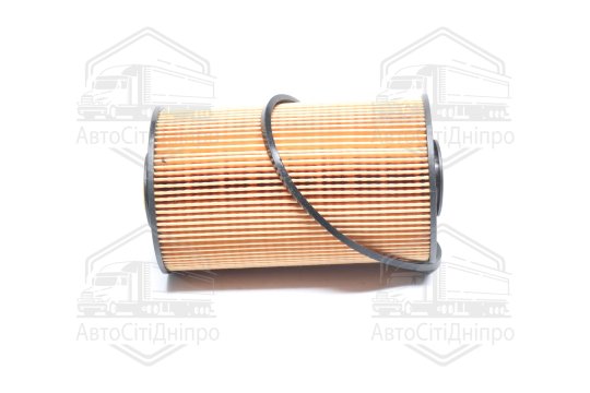 Фільтр паливний (RIDER)