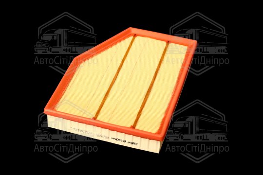 Фільтр повітряний ExtraClean  BMW  (RIDER)