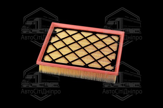 Фільтр повітряний ExtraClean  FORD  (RIDER)