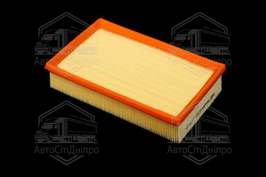 Фільтр повітряний ExtraClean  NISSAN  (RIDER)