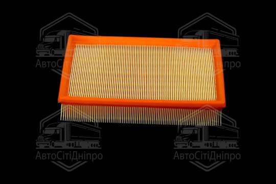 Фільтр повітряний ExtraClean  NISSAN  (RIDER)