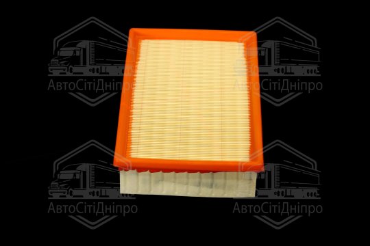 Фільтр повітряний ExtraClean  NISSAN  (RIDER)