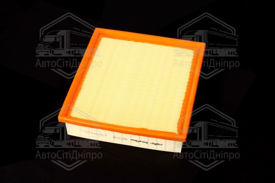 Фільтр повітряний ExtraClean  FORD  (RIDER)