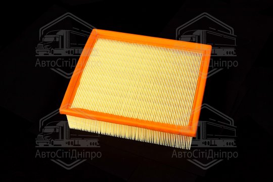 Фільтр повітряний ExtraClean  FORD  (RIDER)