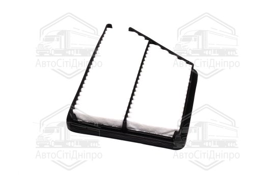 Фільтр повітряний ExtraClean  HYUNDAI, KIA  (RIDER)