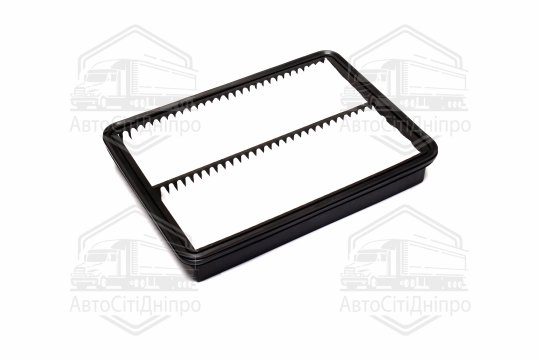 Фільтр повітряний ExtraClean  HYUNDAI, KIA  (RIDER)