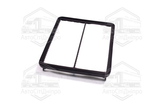 Фільтр повітряний ExtraClean  HYUNDAI, KIA  (RIDER)