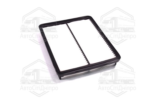 Фільтр повітряний ExtraClean  HYUNDAI, KIA  (RIDER)