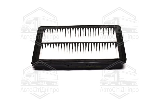 Фільтр повітряний ExtraClean  HYUNDAI, KIA  (RIDER)