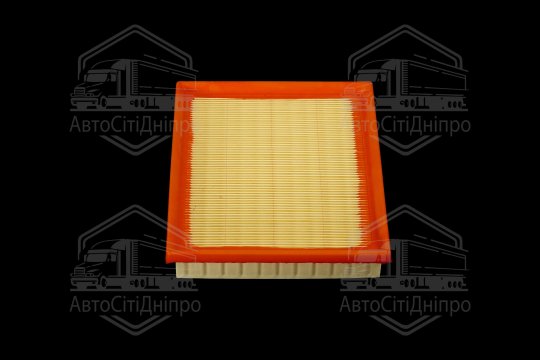 Фільтр повітряний ExtraClean  TOYOTA  (RIDER)