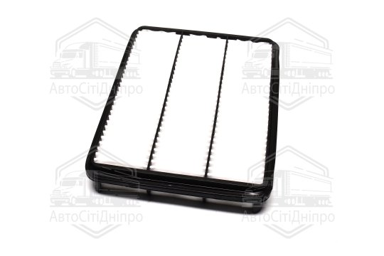 Фільтр повітряний ExtraClean  TOYOTA  (RIDER)