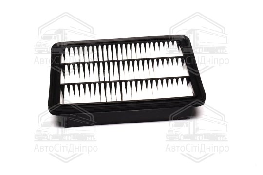 Фільтр повітряний ExtraClean  HYUNDAI, KIA  (RIDER)