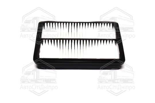 Фільтр повітряний ExtraClean  HYUNDAI, KIA  (RIDER)