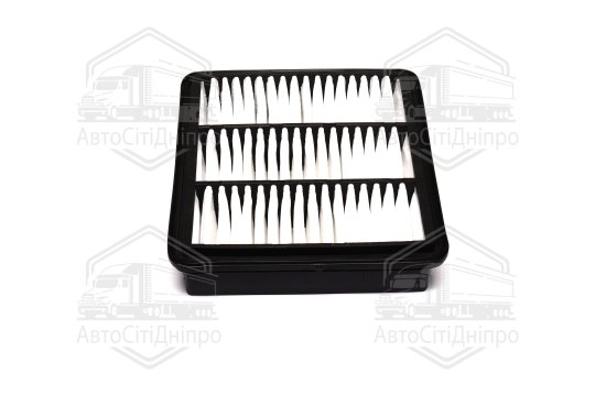 Фільтр повітряний ExtraClean  HYUNDAI, KIA  (RIDER)