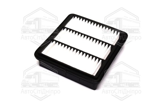 Фільтр повітряний ExtraClean  HYUNDAI, KIA  (RIDER)