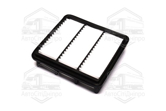 Фільтр повітряний ExtraClean  HYUNDAI, KIA  (RIDER)