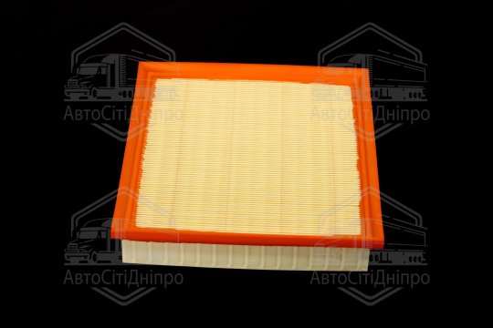 Фільтр повітряний ExtraClean  FORD  (RIDER)