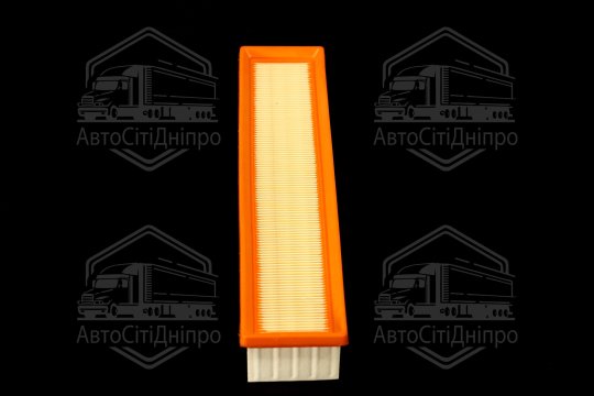 Фільтр повітряний ExtraClean  DACIA (RIDER)