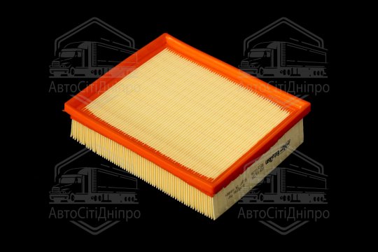 Фільтр повітряний ExtraClean  HYUNDAI, KIA  (RIDER)