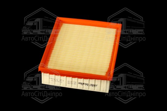 Фільтр повітряний ExtraClean  HYUNDAI, KIA  (RIDER)